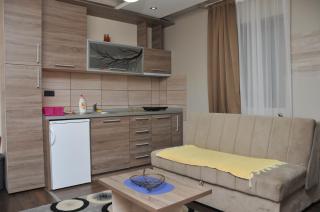 Apartments Zivkovic, Milmari D - Kopaonik - 3