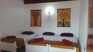 Sunchaser Beach Hotel - Tangalle - 5