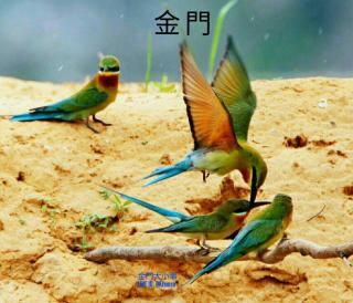 Starry Sky Inn - Jinhu - 8