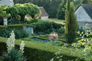 Le Chat Courant - Villandry - 1