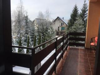 Apartments Dobra Vila - Zlatibor - 7
