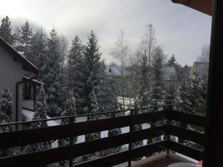 Apartments Dobra Vila - Zlatibor - 8