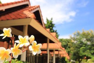 Aquavana Haad Rin Resort - Haad Rin - 3