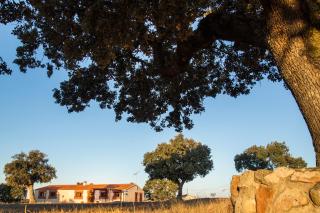 Dehesa de Montealto - Cabañas de Sayago - 4