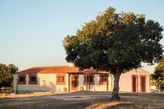 Dehesa de Montealto - Cabañas de Sayago - 7