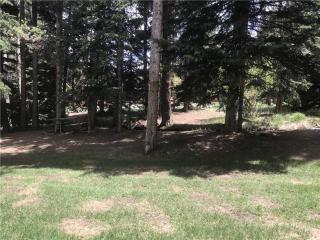 Wildwood Suites 107 (Condo) - Breckenridge - 1