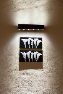 Thalassa Locanda B&B e appartamento - Arcidosso - 1