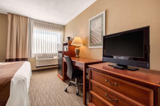 Quality Inn & Suites New Castle - New Castle - 4