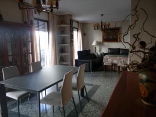 Casa Turistica Termas aparcamiento y desayuno incluido - Mérida - 1