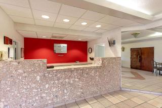 Econo Lodge Vero Beach - Downtown - Vero Beach - 4