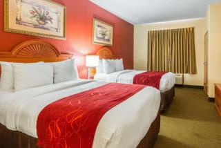 Comfort Suites Batesville - Batesville - 9
