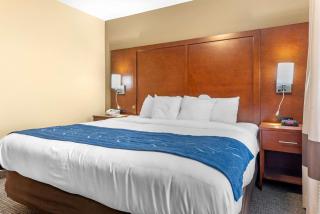 Comfort Suites - Findlay - 1