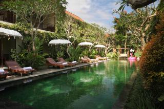 Sapodilla Ubud - Ubud - 3