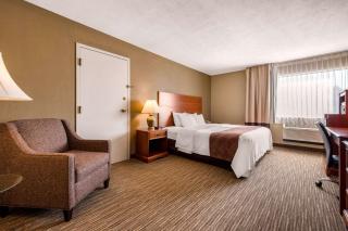 Quality Inn & Suites New Castle - 5