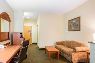 Comfort Suites Batesville - Batesville - 4