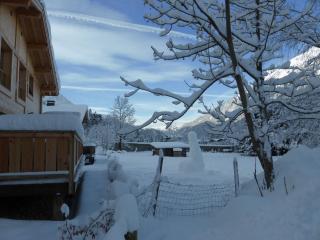 Les Chalets Aquarelle - Chamonix - 1