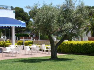 Bay Hotel - Roses - 9