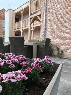 B&B Sasput - Hasselt - 1