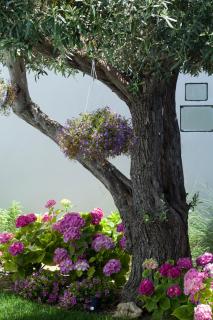 B&B Villa Eraclea - San Leone - 1