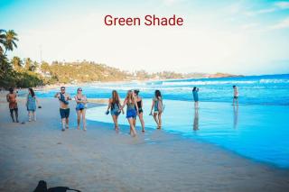 Green Shade Villa - 4