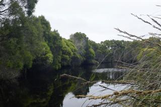 Wrenwood Chalets - Augusta - 6