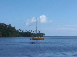 Raiatea sur Mer - Opoa - 3