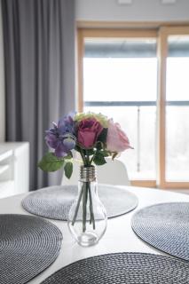 VipWarsawApartments Sapphire Mennica Residence - Varsavia - 2