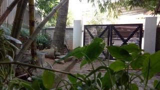Adams Wood House Ayurveda Homestay Kochi - Cochin - 8
