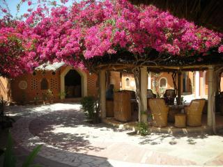 Apani Dhani Eco-Lodge - Nawalgarh - 0