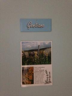 GITE DU FORAIL - Laguiole - 5