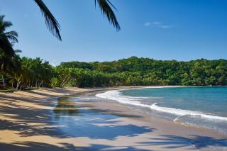 Bom Bom - Principe Collection - 3