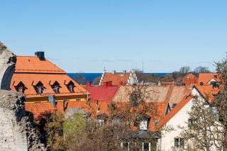 Villa Trumpetaren - Visby - 5