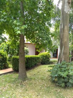 Casa En El Bosque - Mar del Plata - 8