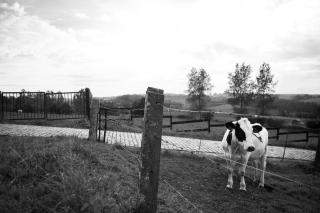 B&B Maison Kerkhove - 8