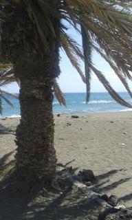 By Jonni Res. Chaparral - Costa Del Silencio - 4