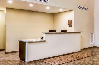 Comfort Suites Wooster near University Campus - Wooster - 5