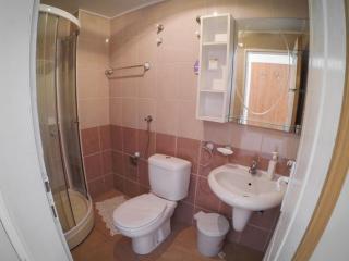 apartmani.miletic 1 - Sokobanja - 3