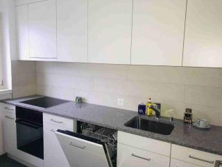 3 Room Premium Apartment Buchs SG - Buchs - 4