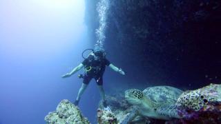 Equatorial Divers Lodge - Feydhoo - 2