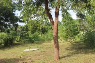 Wilpattu Holiday Home - Nochchiyagama - 1