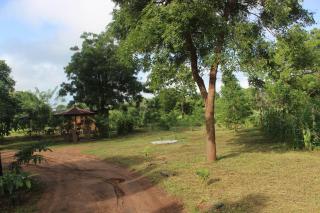 Wilpattu Holiday Home - Nochchiyagama - 2