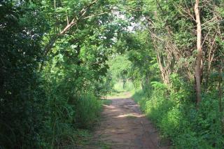 Wilpattu Holiday Home - Nochchiyagama - 8