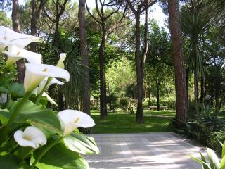 Hotel Valdor - Cavallino-Treporti - 0