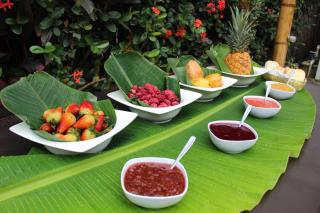 Prima Luna Palomino - 3