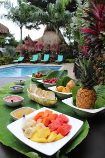 Prima Luna Palomino - 4