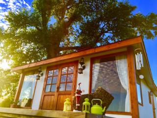 Arriendo de Cabañas con Piscina y Entorno Natural, Villarrica - Villarrica - 1