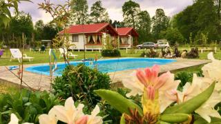 Arriendo de Cabañas con Piscina y Entorno Natural, Villarrica - 7