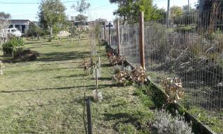 Casa de Amelia (Punta Rubia) - 2