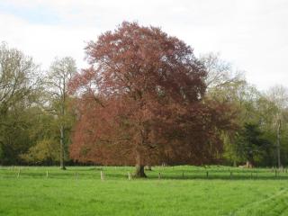 Chambres d'Hotes Spa Château d'Omiécourt - 2