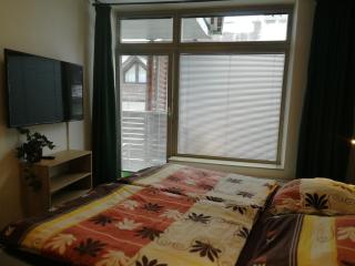Rodinný Apartmán Harrachov 606 - 2